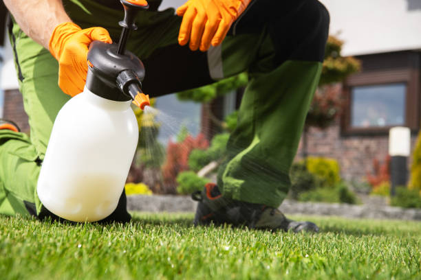 Best Affordable Pest Control Services  in Crow Agency, MT