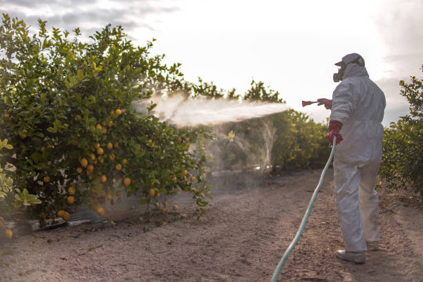 Best Cockroach Control Services  in Crow Agency, MT