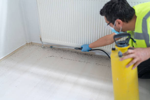 Best Pest Removal Services  in Crow Agency, MT