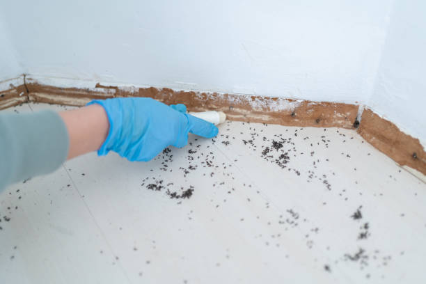 Best Exterminator Services  in Crow Agency, MT